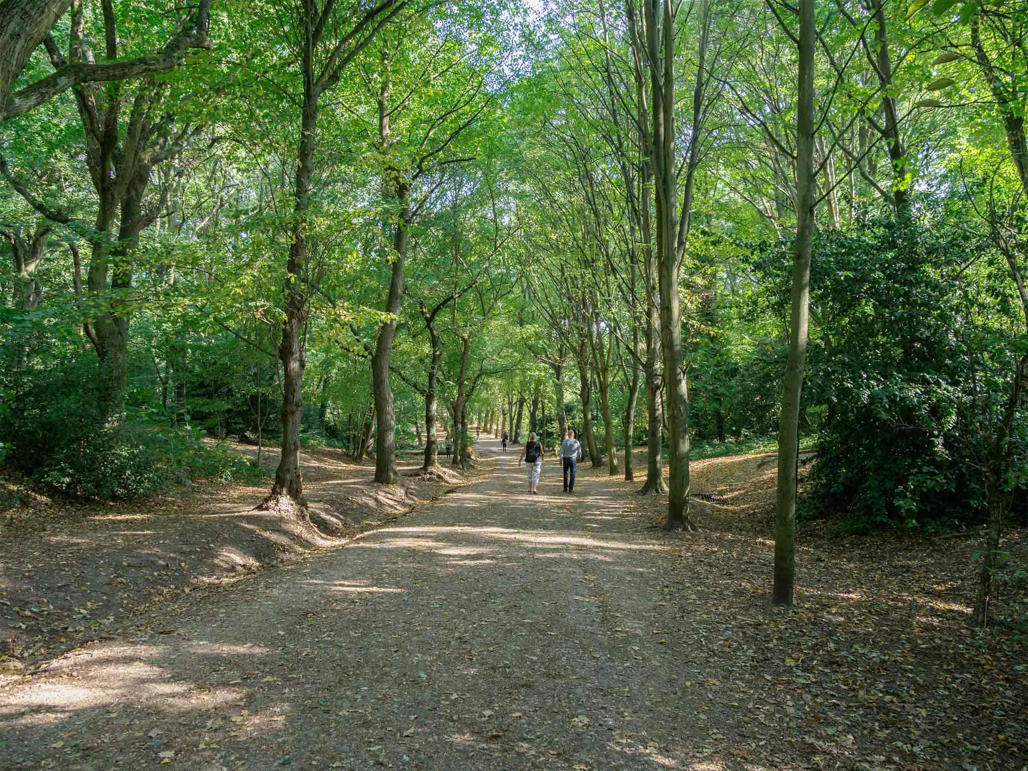 Promenade dans le parc Hampstead Heath