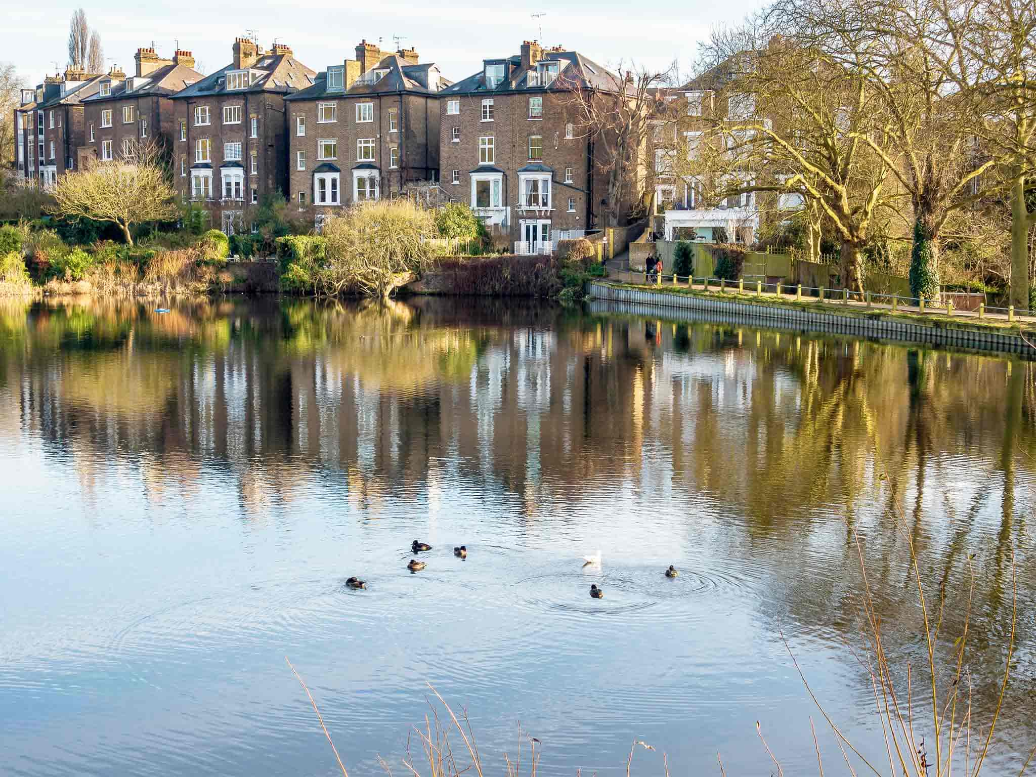 Détente au cœur des étangs de Hampstead Heath