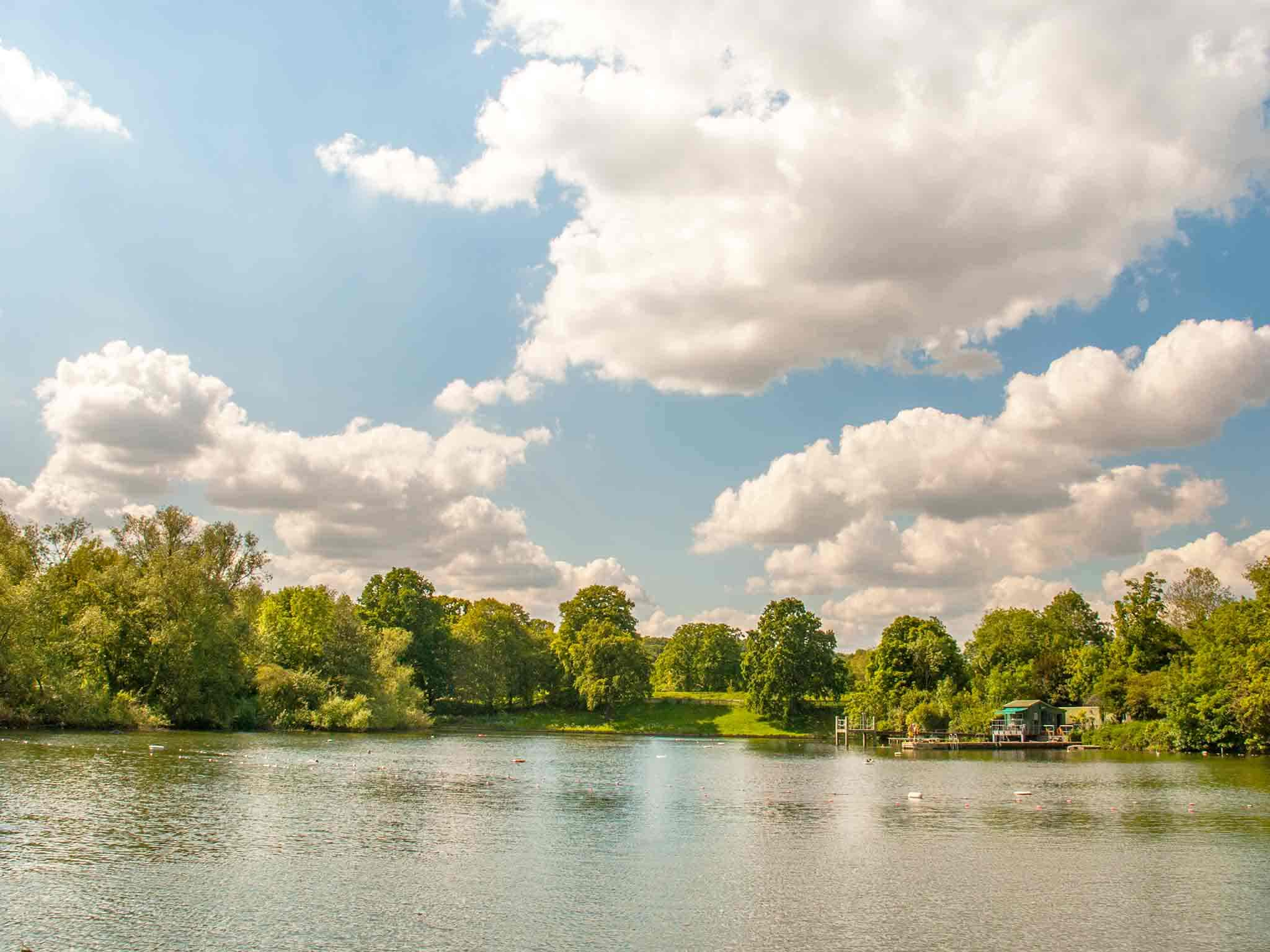 Détente au cœur des étangs de Hampstead Heath